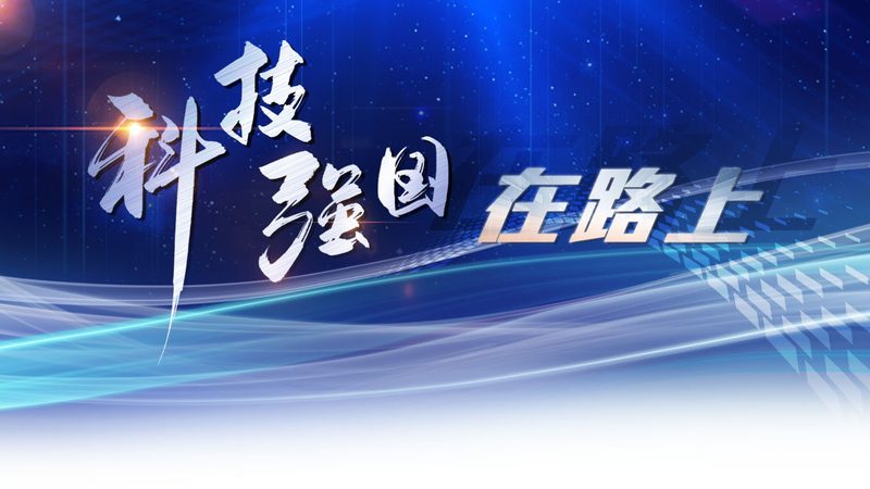 数字化解决方案：揭秘其优缺点，助力企业明智选择