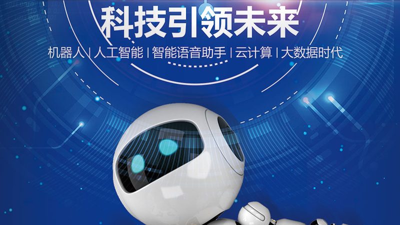 企业级人工智能应用实战：案例分析与实践要点